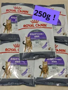 ロイヤルカナン おねだりの多い成猫用 50g×5袋 - メルカリ