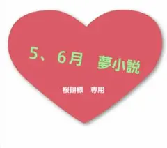 5.6月　　夢小説　　桜餅様　専用