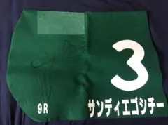 2026年最新】競馬 ゼッケンタオルの人気アイテム - メルカリ