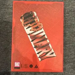 Straykids ORDINARY アルバム