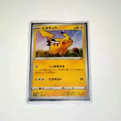 ピカチュウ ローソンサマーキャンペーンプロモ 376/SM-P ポケモン
