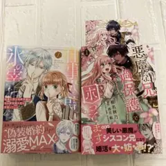 仕事人間な伯爵令嬢は氷の宰相様の愛を見誤っている /悪魔な兄が過保護で困ってます