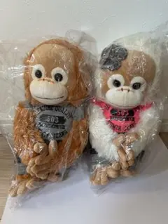 2026年最新】EDWIN ぬいぐるみの人気アイテム - メルカリ