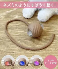 3COINS スリコ　スリーコインズ　 PETME　ボールトイ　犬 猫のサムネイル