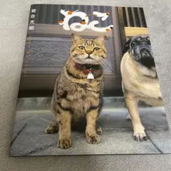 写真家・岩合光昭さんの写真集『ねこ』
