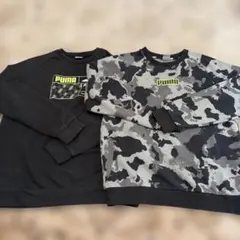 キッズトレーナー160センチPUMA