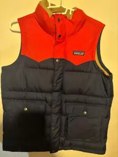 パタゴニアダウンベスト