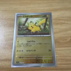 m89840387277_1.jpg?1769054637