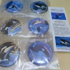 名古屋港水族館 シャチ アース 缶バッジ - メルカリ