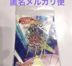 プリキュア フェス アクリル　キーホルダー yes!プリキュア5GOGO!