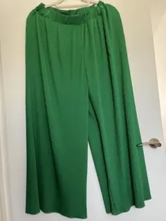 スコットクラブ 美品 ワイドパンツ グリーン M L ヤマダヤ RADIATE