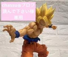 chassu※プロフ読んで下さい 様 専用