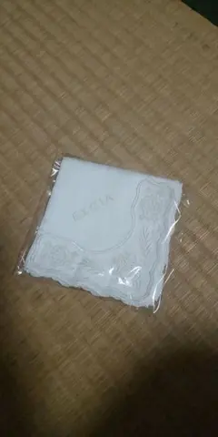 ★非売品★アルビオン エクシアのハンカチのサムネイル