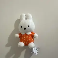 2025年最新】万博 ミッフィーの人気アイテム - メルカリ