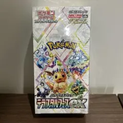 テラスタルフェス