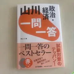 山川 政治・経済一問一答