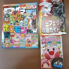 ファミ通DS+Wii 　2010年12月号
