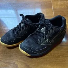 Mizuno バレーボールシューズ 20cm