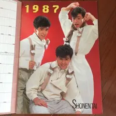 Item thumbnail for item 1de3eee7-bfc0-4190-9a48-ad923edfb885