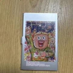 新品未使用珍遊記　名刺入れ　1番くじ