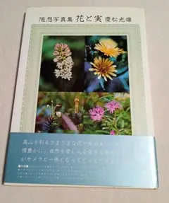 京都花名所 写真集 水野克比古 4冊セット 京都花名所 写真集 水野克比古 4冊セット - メルカリ