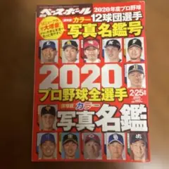 プロ野球選手名鑑　2020