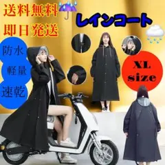 Item thumbnail for item 8101d215-38b6-48fb-8d95-f5ba3c2aff37