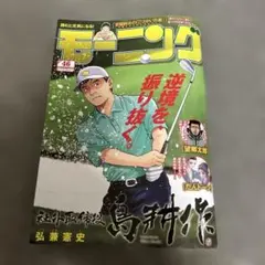 モーニング　No.46