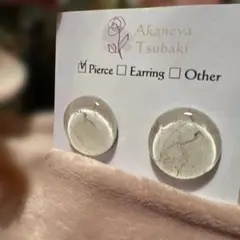 Item thumbnail for item 00b4a6f4-f13a-4660-9654-7d2d8d4c4a84