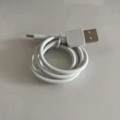 USB Type-C ケーブル ホワイト