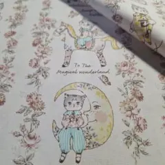 Item thumbnail for item 197c077a-6e89-40b0-a7a3-f87c5bdc2628