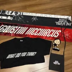 HAZUKIソロ葉月lynch.ぬいぐるみ　Tシャツ　タオル等 HAZUKIソロ葉月lynch.ぬいぐるみ Tシャツ タオル等 HAZUKI HAZUKIソロ