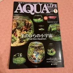 ルージュ様 リクエスト 2点 まとめ商品