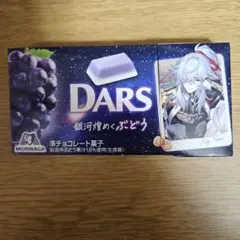 崩壊スターレイル　ダースポーチ景元 DARS×崩壊スターレイル 景元 フラットポーチ
