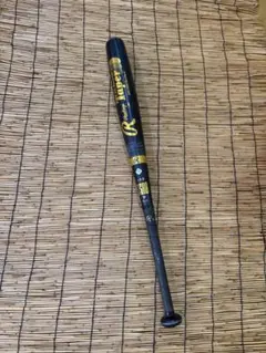 Item thumbnail for item 45f2db0e-f409-45fa-b791-66371f2211ac