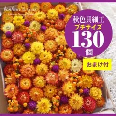 2＊秋色 貝細工 プチサイズ【130個❣️＋オマケ】ハロウィン＊ ドライフラワー