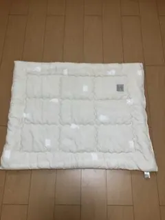 Item thumbnail for item fc6fd2c5-3bef-46a0-8fd5-3602f010cdad