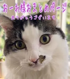 様 2点おまとめページ | Mercari