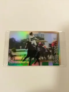 2026年最新】ソウルラッシュ 馬の人気アイテム - メルカリ