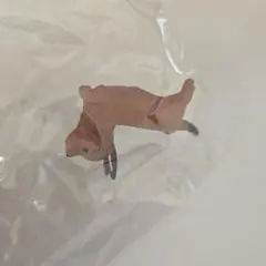 Item thumbnail for item 354f7138-7adf-4838-b8d4-0d03882c4802