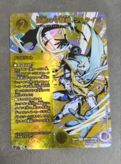 沈黙の守護者、シュタイン シークレット