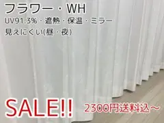 Item thumbnail for item e1773dca-172b-417a-afc8-604aab27ac7a