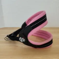 トレポンティ ハーネス