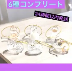 うちの子のけだまだま カプセルトイ 茶トラ ノーマル 三毛猫 シャム猫 ハチワレ