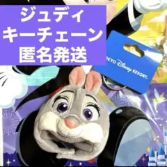 2026年最新】ディズニーファンキャップ ジュディの人気アイテム - メルカリ