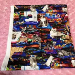 USAコットン 猫柄