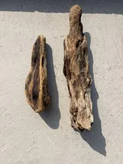流木 2点セット 爬虫類・両生類用