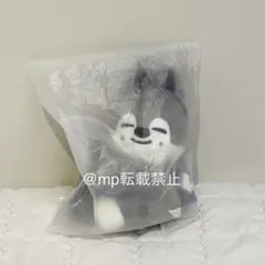 straykids ペンライトカバー ウルフチャン バンチャン バージョン2