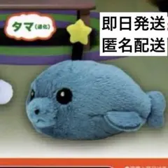 教育番組 ガチャ ぬいぐるみバッジ タマ(退化)