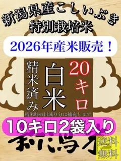 精米済み10キロ【農家直送！】新潟県産こしいぶき 特別栽培米 8年産